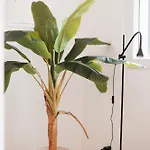 בית נופש La Paloma Alojamentos