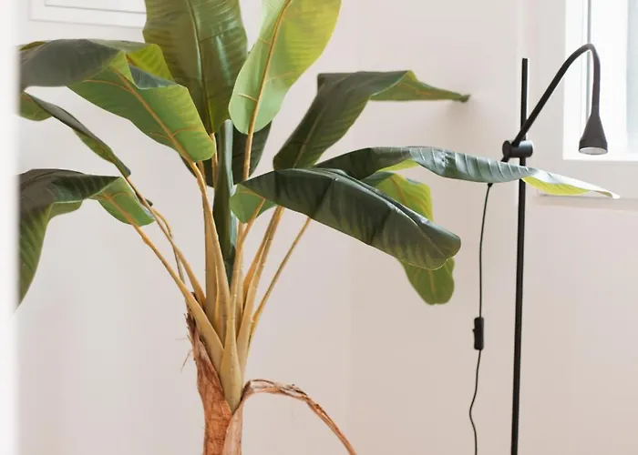 Dom wakacyjny La Paloma Alojamentos